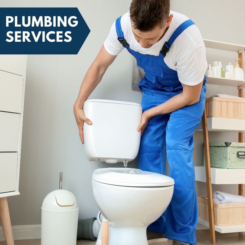 Plumbing Company in Drasco, AR